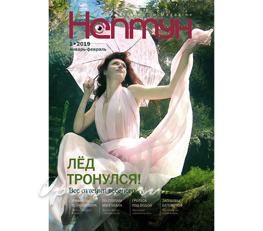 Журнал Нептун 2019/1