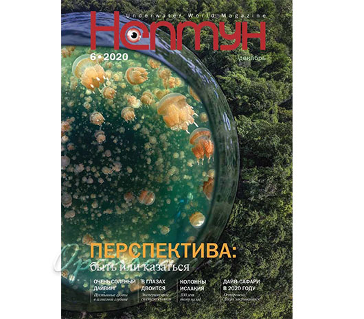 Журнал Нептун 2020/6