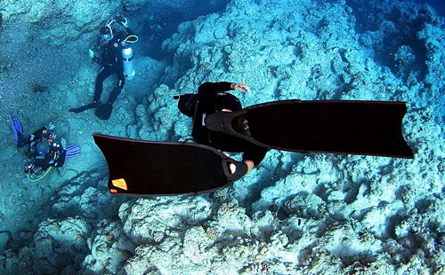 LeaderFins